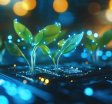 Sviluppo piattaforme web: strategie per la crescita digitale e il vantaggio competitivo
