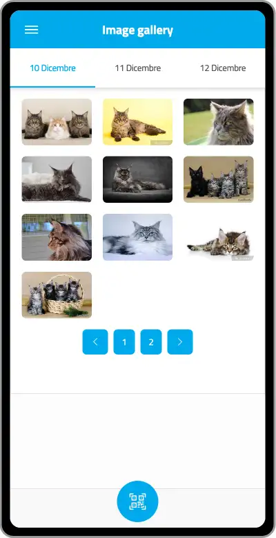 Screen-Image gallery