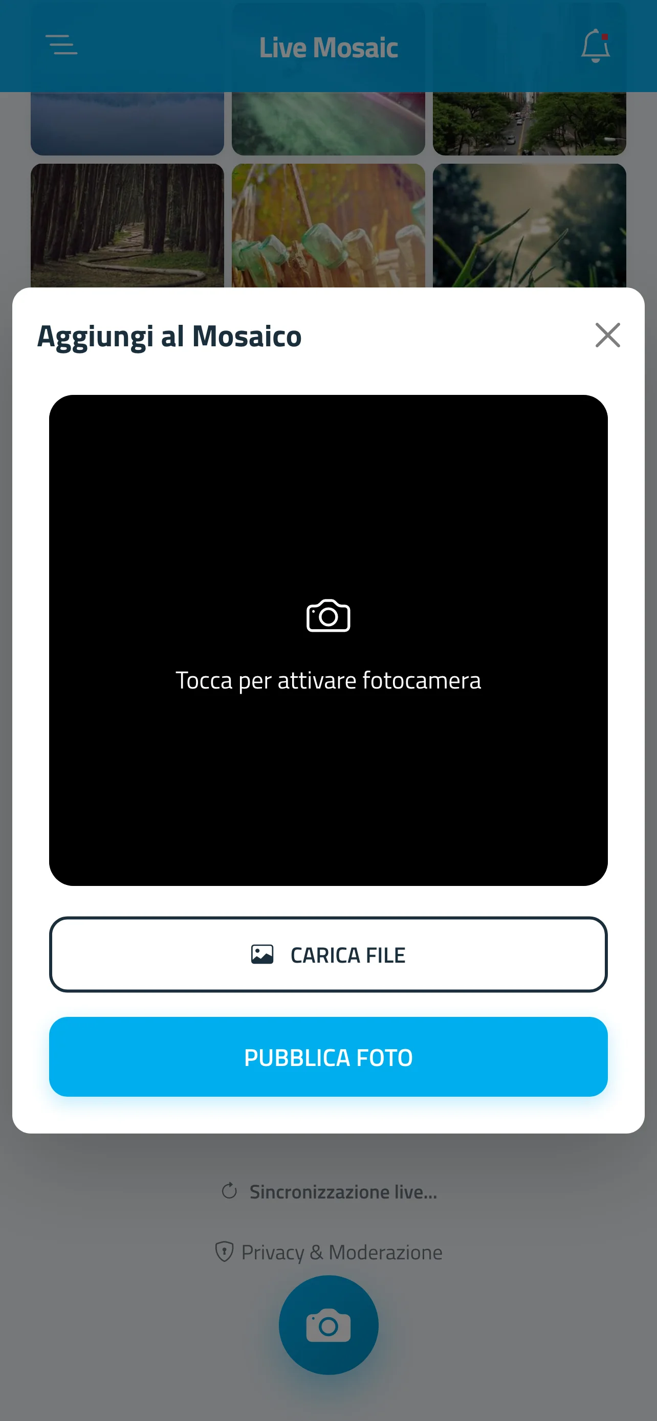 Live Mosaic